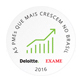 As PMEs que Mais Crescem no Brasil (Da Deloitte em parceria com a revista Exame)