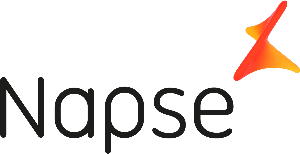 Logo-Napse