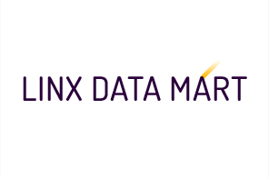 Linx_linx data mart